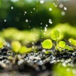 Article image of: Agricultural Microbiome Analysis