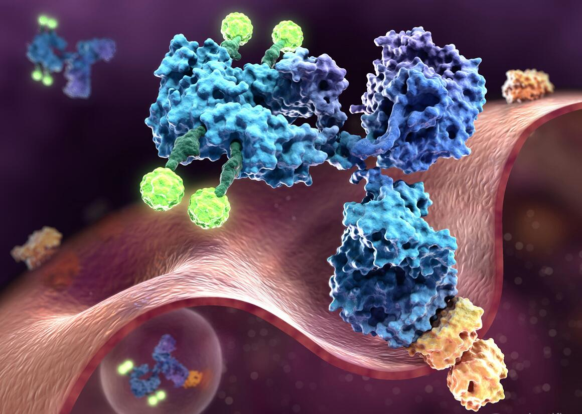 Antibody Drug Conjugates Characterization Service Labinsights