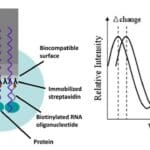 Article image of: Profacgen Updated Its Bio-Layer Interferometry Service Globally