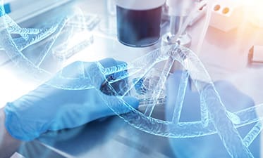 Article image of: Introduction to Glucosidase