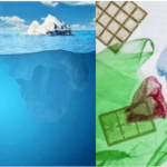 Article image of: Environmental Contaminants Standards for A Safer World