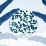 Article image of: Sources and Functions of Short-Chain Fatty Acids