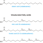 Article image of: Mass Spectrometry-Based Metabolomics