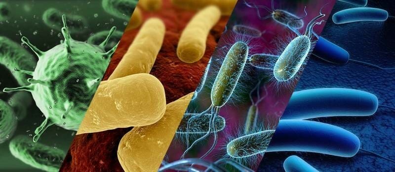 Article image of: Comprehensive Sequencing Solutions