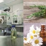 Article image of: Oplosmiddelvrije extractie van plantaardige oliën