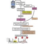 Article image of: New Insights into Enteroaggregative E. coli