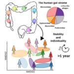 Article image of: Virome Sequencing Service