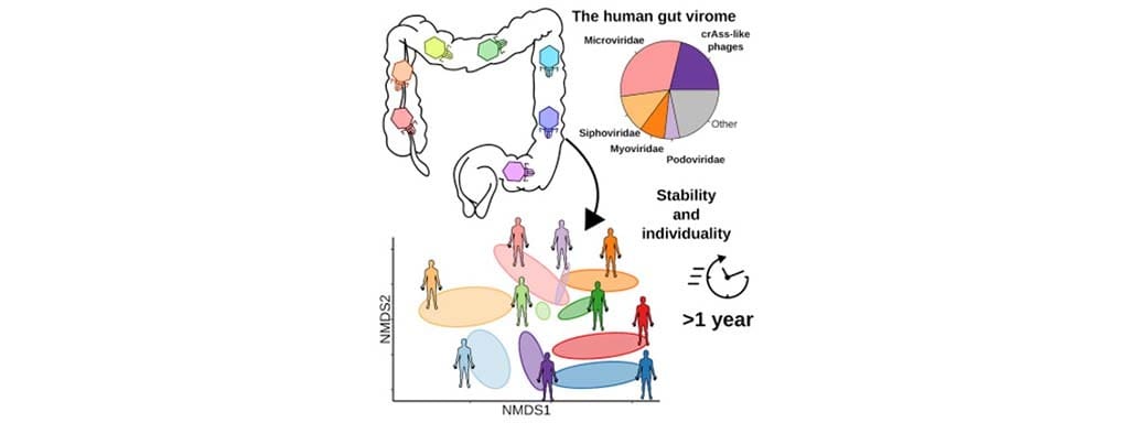 Article image of: Virome Sequencing Service