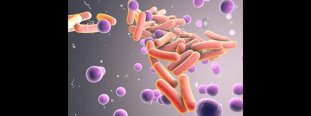 Article image of: High-Throughput Sequencing Approach to Explore the Human Microbiome