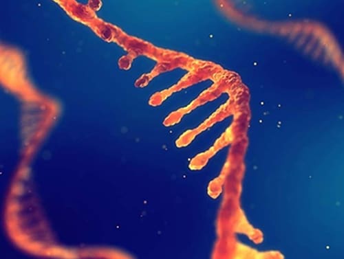 Article image of: Epigenetics Data Analysis Service Available