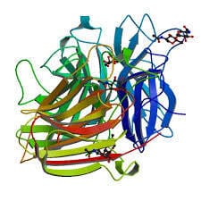 Article image of: Detailed Introduction to Inulinase