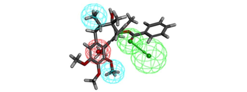 Article image of: Pharmacophore Model Service