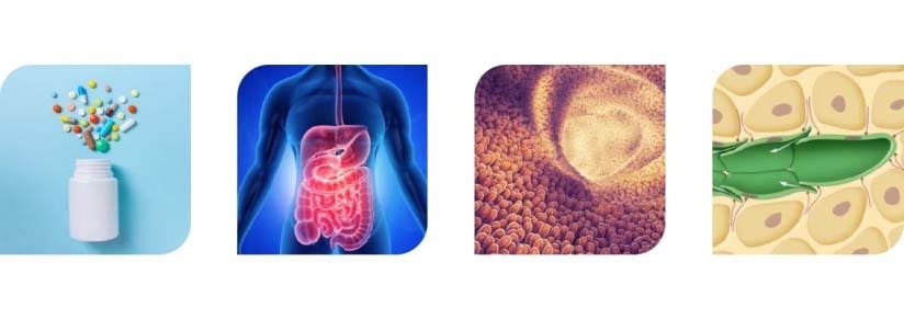 Article image of: Customized Synthesis