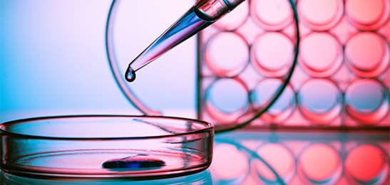 Article image of: A Detailed Introduction to Penicillinase