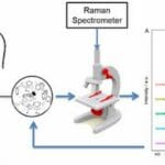 Article image of: New Raman Spectrometry-Based Metabolomic Analysis Service