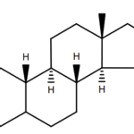 Article image of: Detailed Introduction to Steroids Analysis