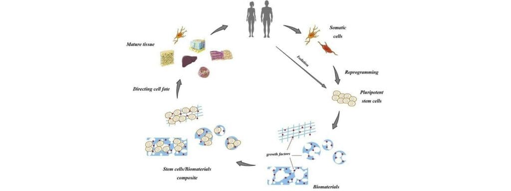 Article image of: Supplier of Biomaterials
