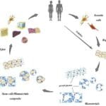 Article image of: Supplier of Biomaterials