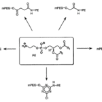 Article image of: A Brief Introduction to Functional PEGs
