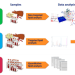 Article image of: Lipidomics Bioinformation Analysis