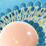 Article image of: Fatty Acids and Ester Derivatives