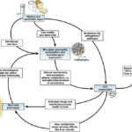 Article image of: Metabolomics in Gut Microbiota Research