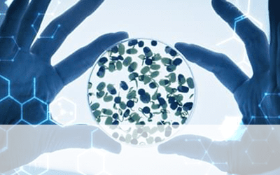 Article image of: Methods for Detecting Protein Phosphorylation