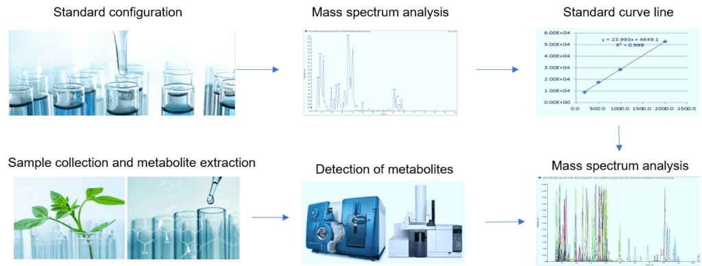 Article image of: Food Sources and Effects of Carotenoids
