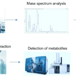 Article image of: Food Sources and Effects of Carotenoids