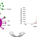 Article image of: CdS/ZnS Quantum Dots That Are Available