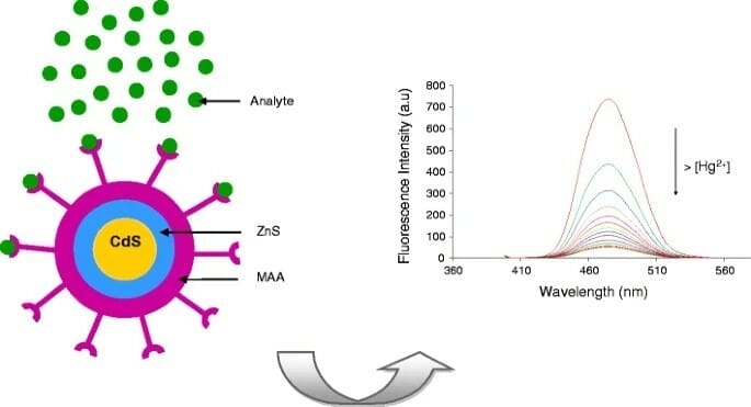 Article image of: CdS/ZnS Quantum Dots That Are Available