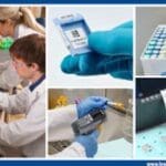 Article image of: Guide ‘5 steps to automated sample identification’