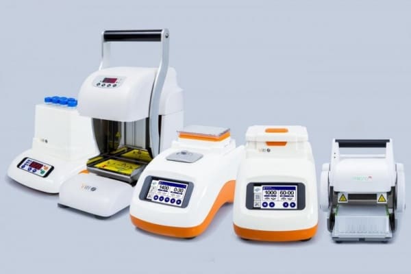 Article image of: Vitl: the newest brand in our NovaVeth portfolio