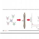 Article image of: Schnelle Evaluierung von mAb Glykoformen und ADCC-Aktivität