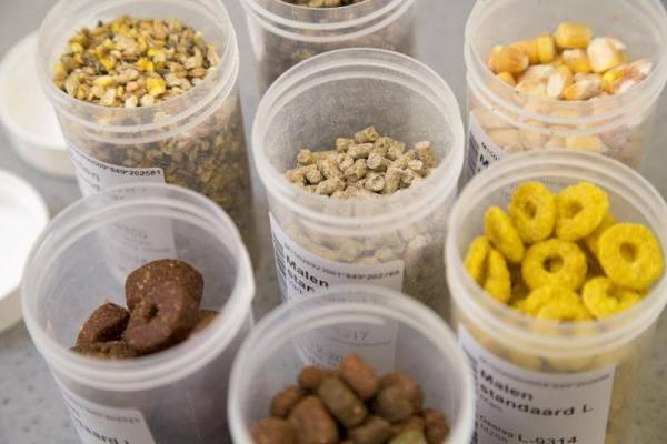 Article image of: European Union Reference Laboratory mycotoxins