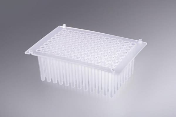 Article image of: Magnetic plates from Ritter