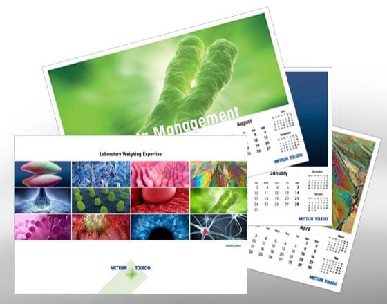 Article image of: More than Just a Calendar, 2019