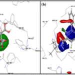 Article image of: 3D-QSAR Service for Drug Design and Screening