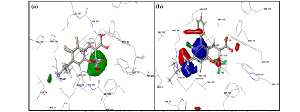 Article image of: 3D-QSAR Service for Drug Design and Screening