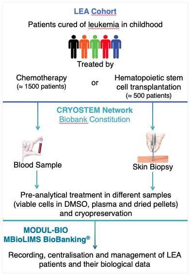 Article image of: Modul-Bio and CRYLO-LEA Project news