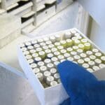 Article image of: The Virtual Catalog, a major feature of TDBioBank software