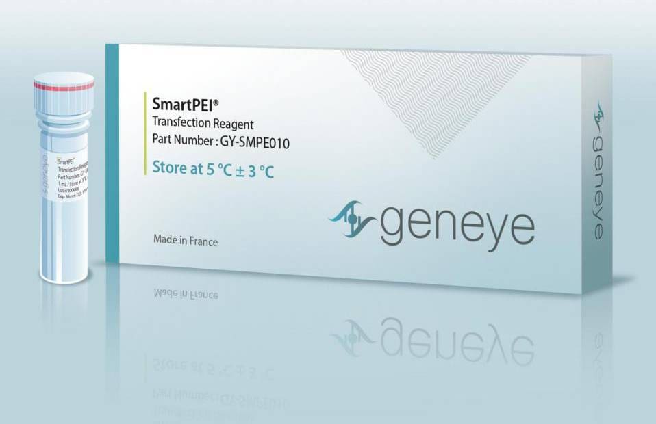 Article image of: Reach Superior Transfection Efficiency with SmartPEI Reagent