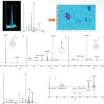 Article image of: Verbeterde GC Image functionaliteit