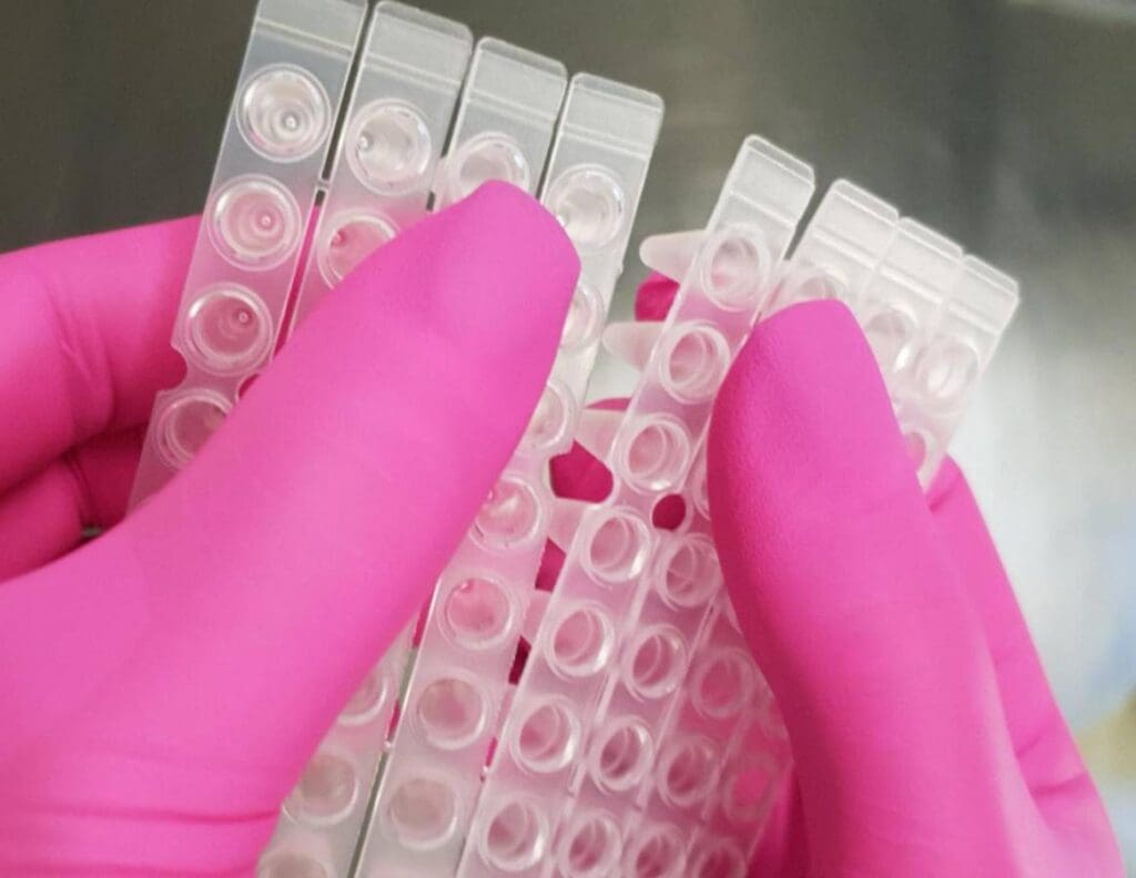 Article image of: New: Tear Off 96-well plate mats