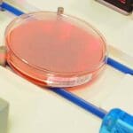 Article image of: Technidata and full lab automation in Microbiology