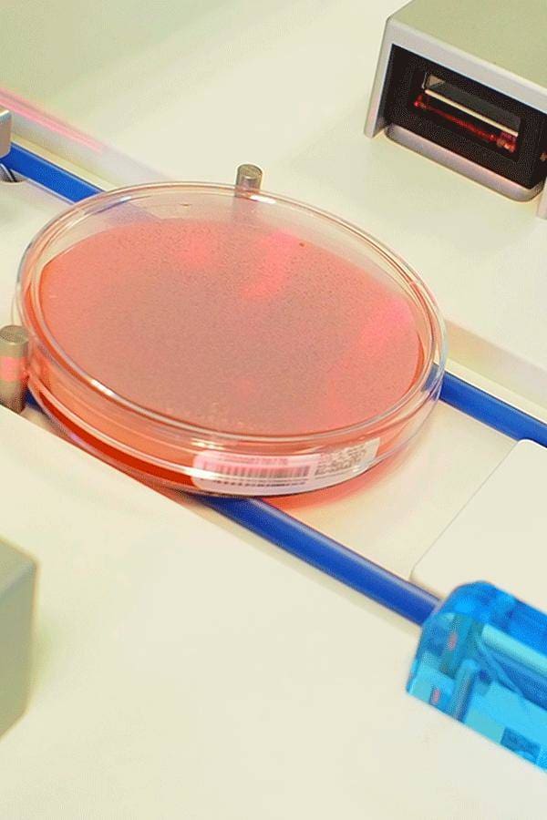 Article image of: Technidata and full lab automation in Microbiology