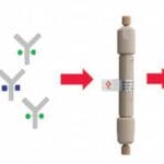 Article image of: A new FcR column