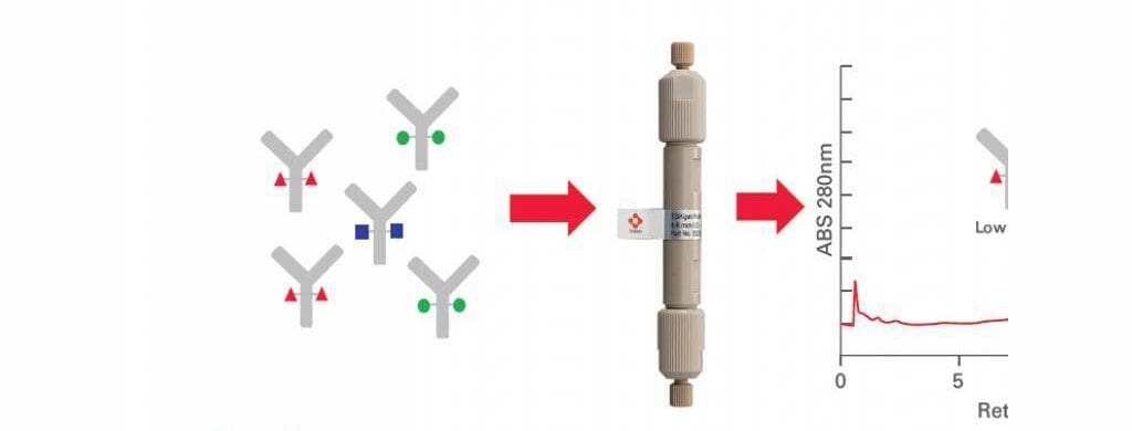 Article image of: A new FcR column