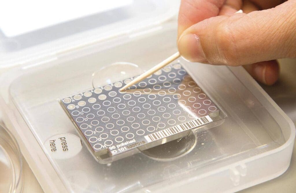 Article image of: Certificatie snelle, microbiologische  identificatiemethode