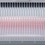 Article image of: New 16- and 24-Channel Pipettes Available for 384-Well Plate